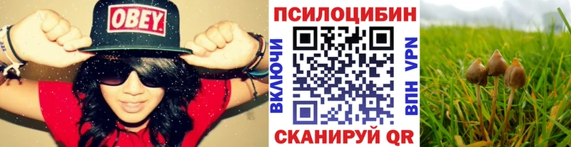 Псилоцибиновые грибы прущие грибы  мега ССЫЛКА  Инсар 